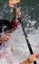 Resize of IMG_1985.jpg